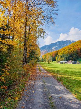 Güzel renkli bir Avusturya doğası. 