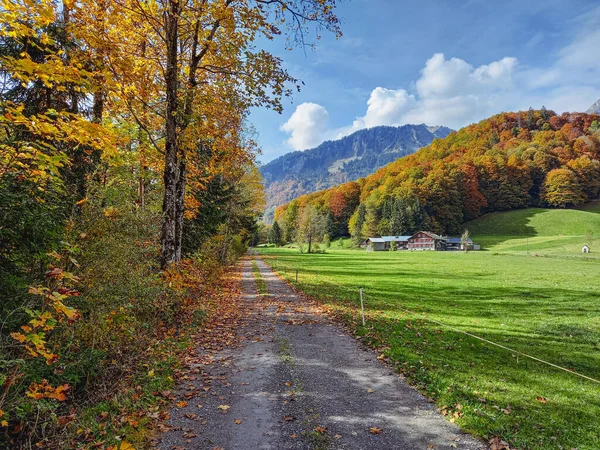 Wandern Auf Dem Schönen Weg Herbst — Stockfoto
