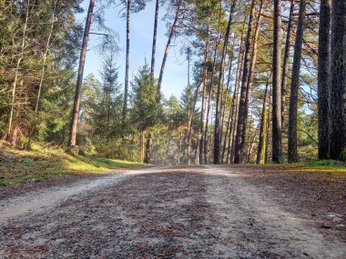 Orman Yolu (Arzl im Pitztal)