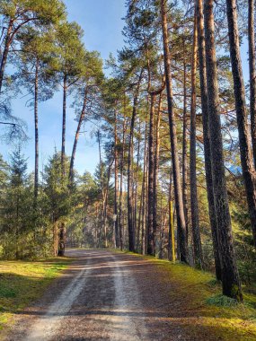 Arzl im Pitztal 'ın güzel doğası 