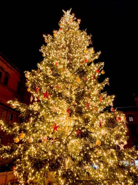 A beautiful Christmas tree at night 