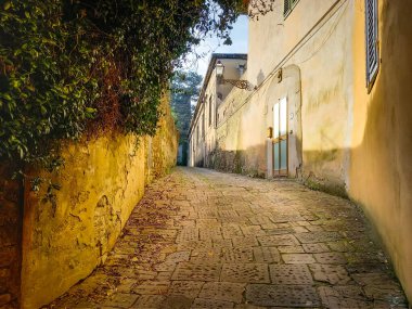 Floransa 'da eski sokakta yürüyorum. 