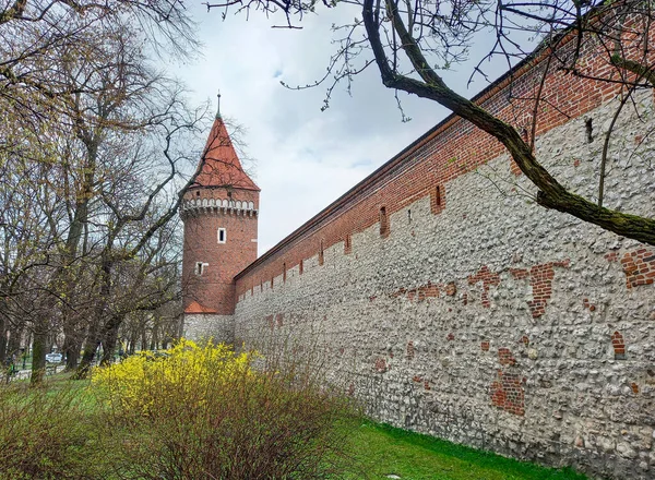 Krakow 'daki eski duvar ve kule 