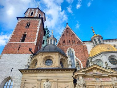 Wawel Katedrali (Krakow, Polonya)