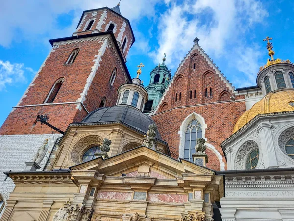 Krakow 'daki Wawel Katedrali 