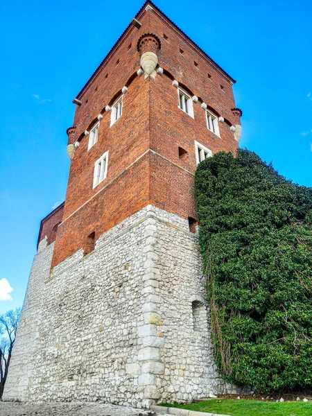 克拉科夫的瓦维尔盗窃塔 — 图库照片