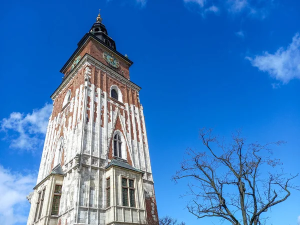 Der Turm Des Rathauses Krakau — Stockfoto
