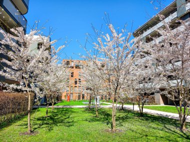 Feldkirch, Vorarlberg 'deki pınar 