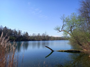 İsviçre 'deki Alter Rhein. 