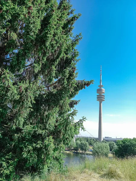 stock image Looking at the tower in Munich 