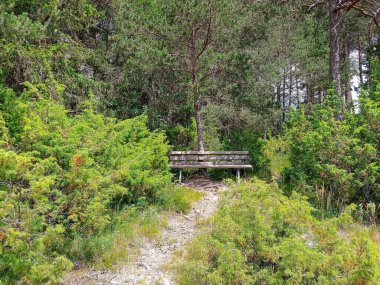 Arzl im Pitztal 'da güzel bir park 