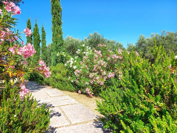 Sirmione 'nin güzel bahçesinde 