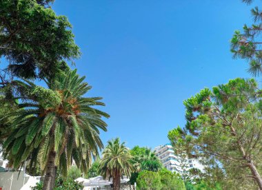 Saranda (Arnavutluk) güzel yeşil doğaya sahip 