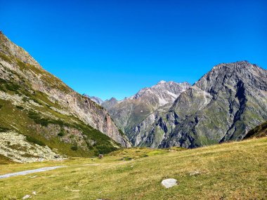 Tyrol 'daki Alpler Dağları 