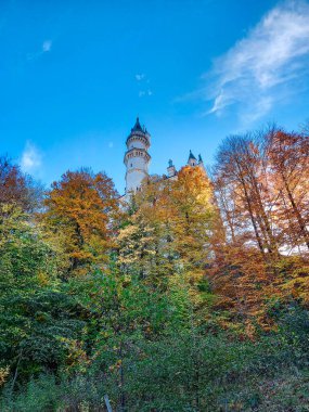 Neuschwanstein Kalesi 'nin güzel sonbahar manzarası 