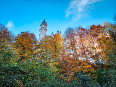 Neuschwanstein Kalesi 'nin güzel manzarası 