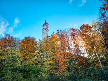 Neuschwanstein Kalesi 'nin etrafındaki güzel renkli orman 