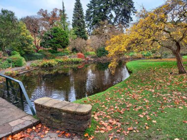 Dublin 'deki güzel İrlanda doğası 