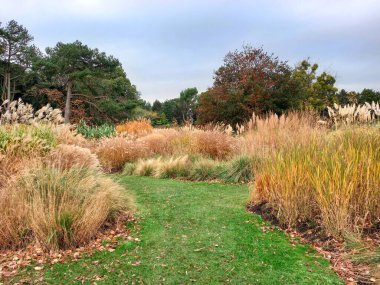 Dublin Parkı 'nın manzarası