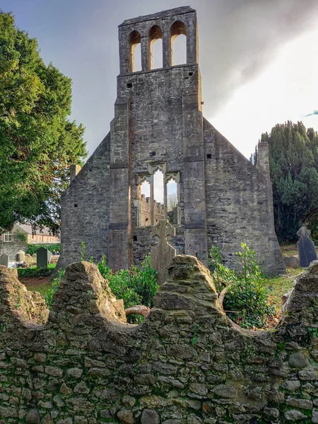 Malahide Abbey kalıntıları (Malahide, İrlanda)