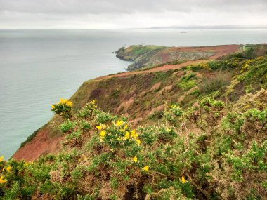 İrlanda 'nın güzel manzarası (Howth)