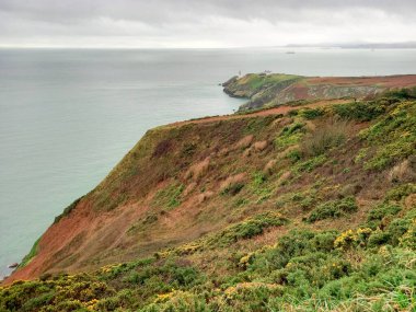 Howth 'daki İrlanda Güzeli 