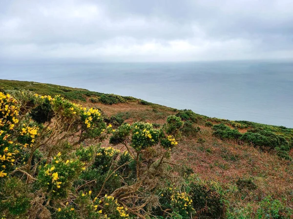 Güzel İrlanda manzarası ve doğa 