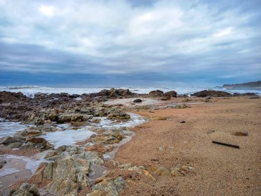 Atlantik Okyanusu 'nun vahşi plajı 