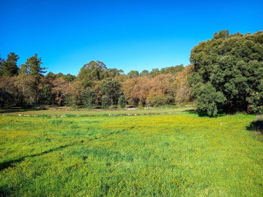 Fatima 'nın güzel manzarası (Portekiz)