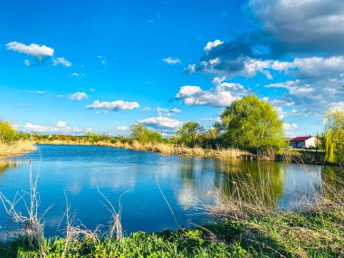 Zvenyhorod 'da güzel sakin bir yer. 