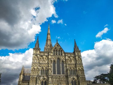 Salisbury Katedrali 'nin tepesine bakıyorum. 