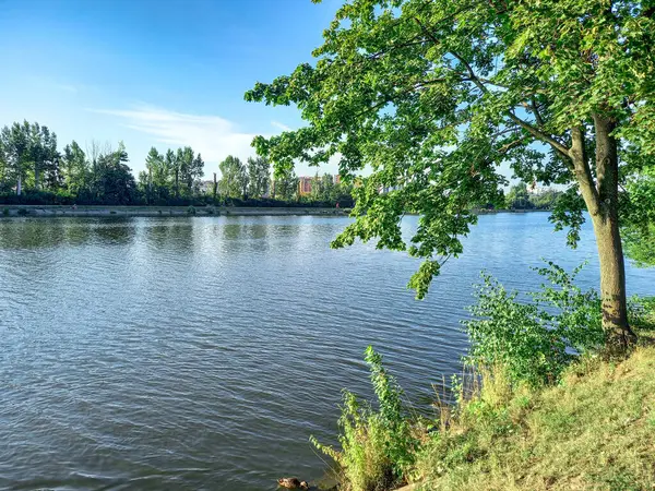 İvano-Frankivsk Şehir Gölü ve Aşıklar Adası 