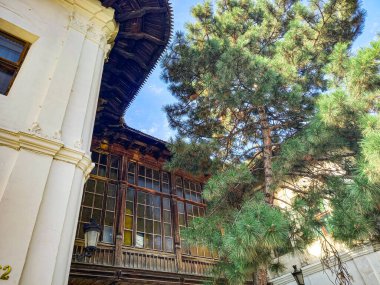 Güzel çam ağacı ve Bükreş 'in eski mimarisi 
