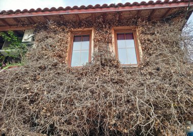 Nesebar 'daki evin dış cephesi 