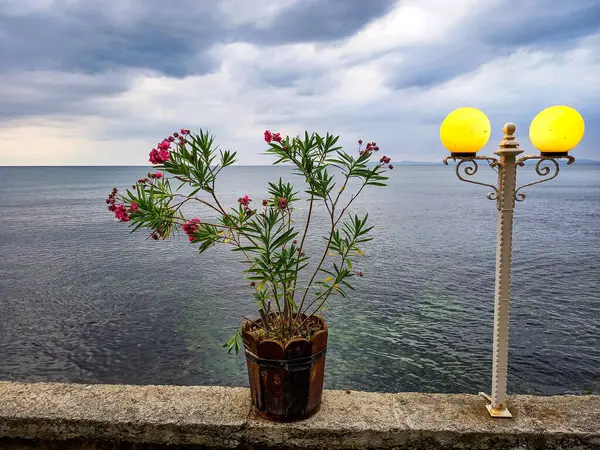 Nesebar 'ın güzel dekorasyonu (Bulgaristan)