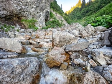 Avusturya 'daki Alp Nehri' nin güzel kayaları 