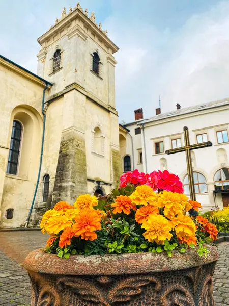 Lviv 'deki All Saints Kilisesi ve Benedictine Manastırı.