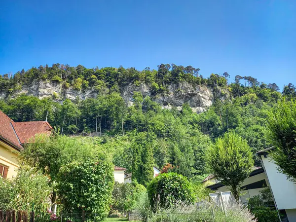 Feldkirch 'ün güzel doğası (Vorarlberg, Avusturya)