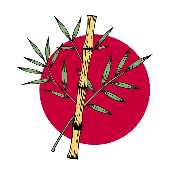 Bambusová Ikona Západu Slunce Ručně Kreslené Vektorové Ilustrace Izolované Bílém — Stockový vektor
