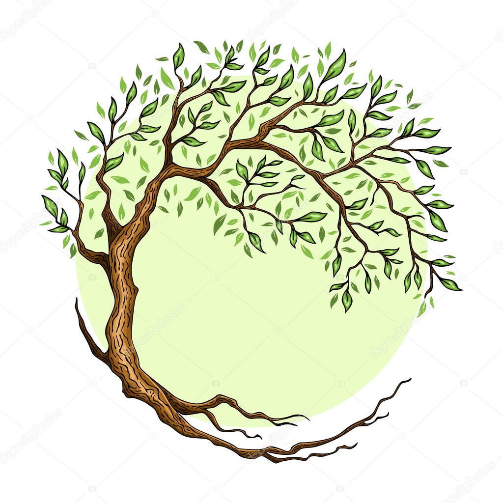 Four seasons - summer. Circle Tree, flat design