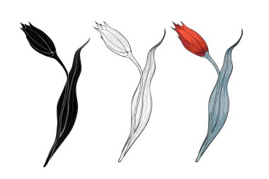 Bahar çiçeği üç seçenek, botanik dekorasyon