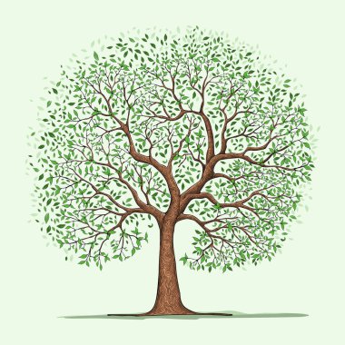 Dört mevsimde ağaç - yaz