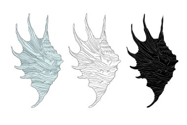 Deniz kabuğu vektör çizimi beyaz arkaplanda izole edildi