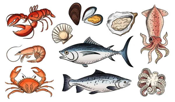 Set Makanan Laut Lezat Vektor Gambar Pada Latar Belakang Putih - Stok Vektor