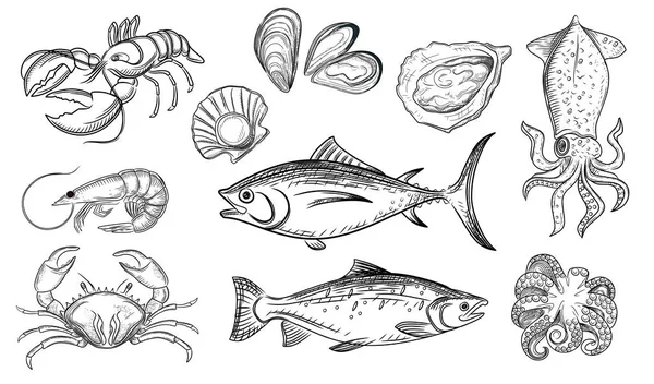 Conjunto Seafood Delicadeza Vetor Ilustração Sobre Fundo Branco — Vetor de Stock