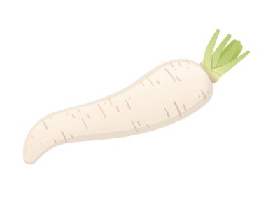 Yeşil saplı turp kökü, beyaz arkaplanda izole edilmiş bitkisel bitki vektörü çizimi..