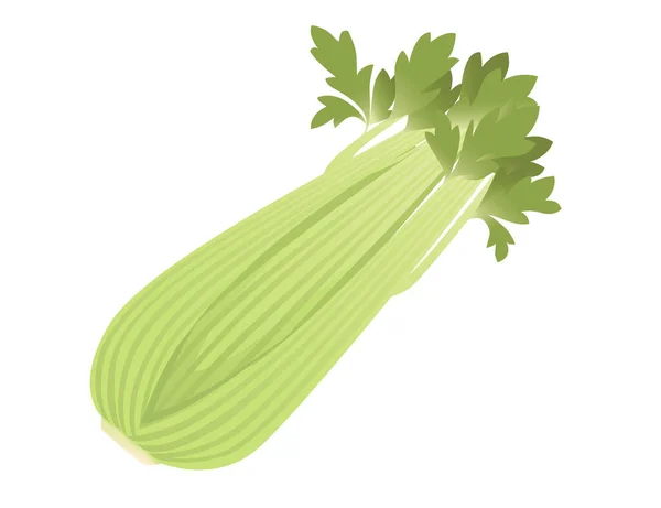 Celery Green Stem Leaves Cartoon Vegetable Plant Vector Illustration Isolated — Stock Vector