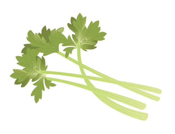 Sellerie Grün Blätter Cartoon Gemüse Pflanzenvektor Illustration Isoliert Auf Weißem — Stockvektor