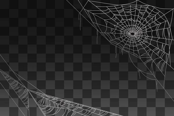 Spider Espeluznante Decoración Web Para Ilustración Del Vector Fondo Sobre — Archivo Imágenes Vectoriales