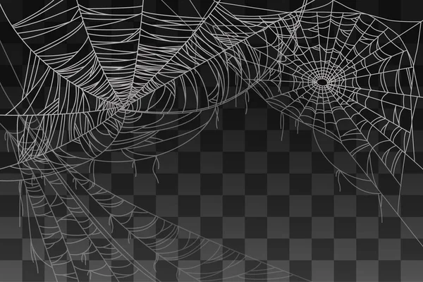 透明背景下背景向量图解的蜘蛛恐怖网络装饰 — 图库矢量图片